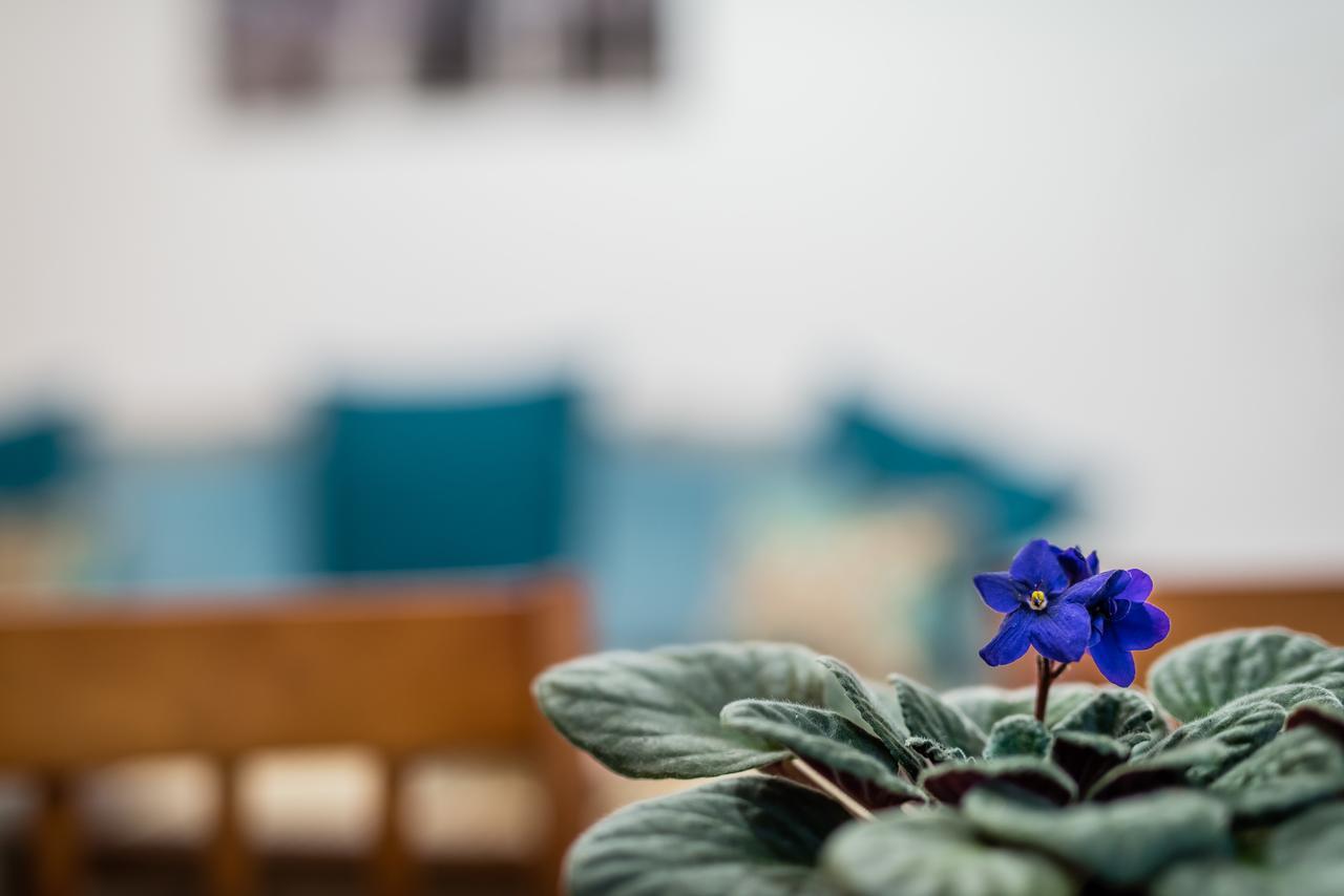 Apartamenty Bosacka Wawelofts Krakau Exterior foto